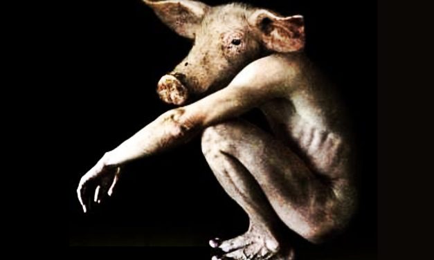 Kisah Kyai Pamungkas: BABI NGEPET TEROR WARGA