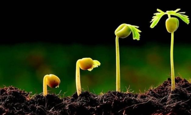 Ngaji Psikologi Bersama Kyai Pamungkas: Peliharalah Tanaman