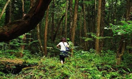 Panggonan Wingit: KAMPUNG KUTA, FENOMENA DESA KARUHUN