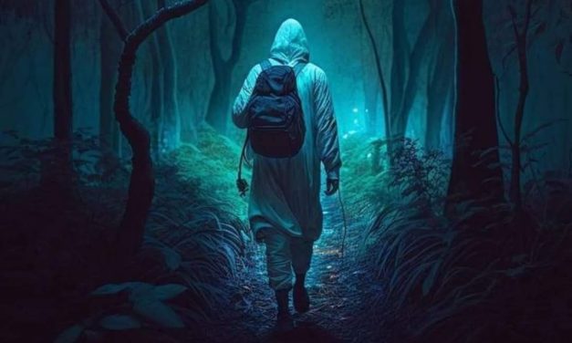 Kisah Kyai Pamungkas: PENEMPATAN KERJA DI WILAYAH ANGKER