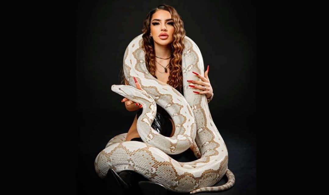 Panggonan Wingit: SILUMAN ULAR CIBALONG