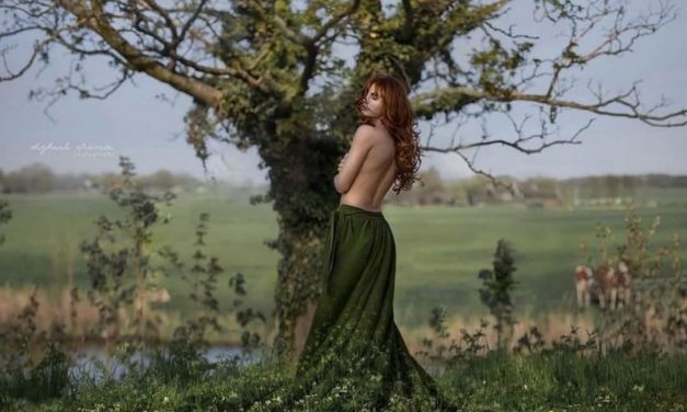 Panggonan Wingit: POHON RANDU ANGKER CIKARANG BARU