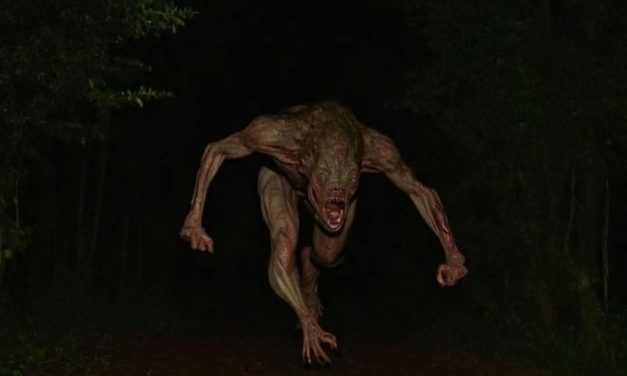 Kisah Kyai Pamungkas: MANUSIA HARIMAU DI OGAN KOMERING ILIR