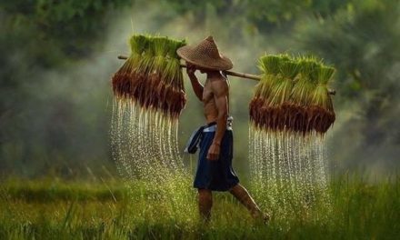 Ngaji Psikologi: OPTIMISME