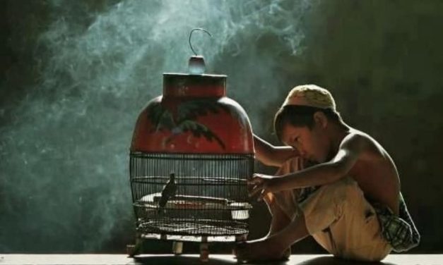 Ngaji Psikologi: AKU KAPTEN HIDUPKU