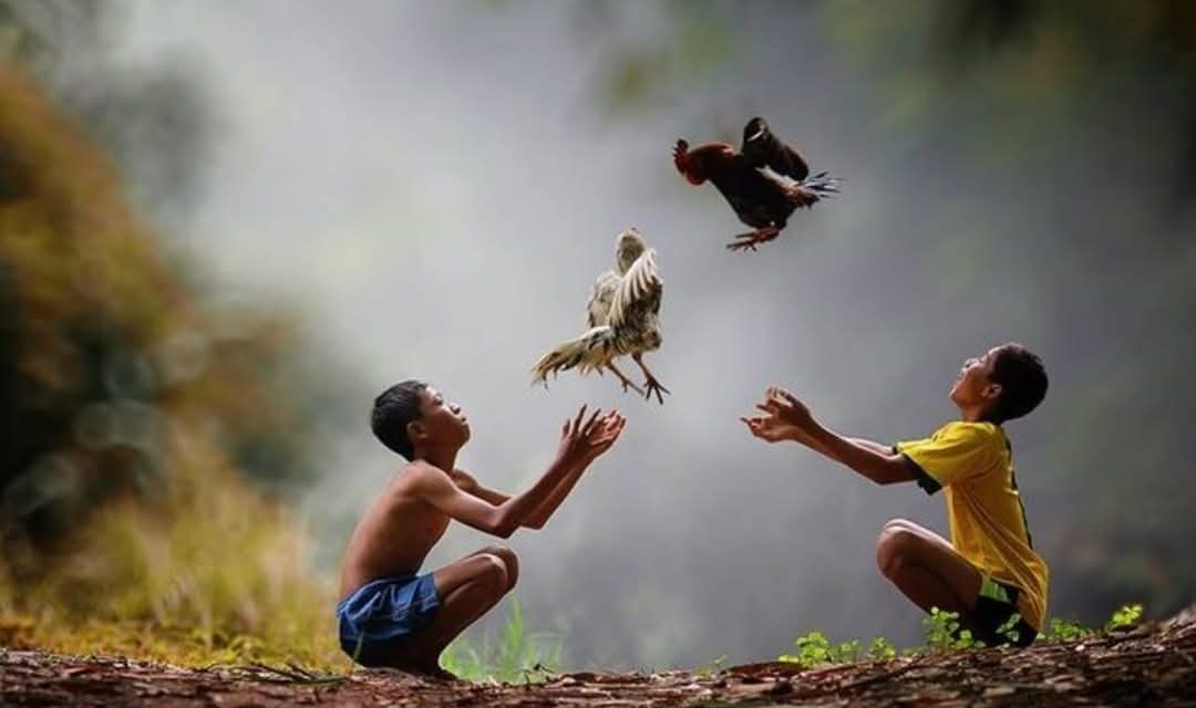 Ngaji Psikologi: HUKUM KONSEKUENSI