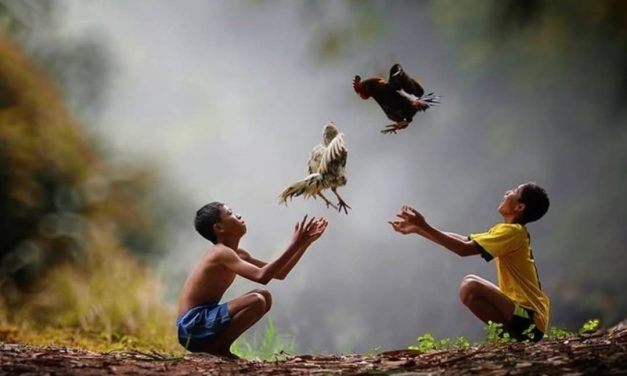 Ngaji Psikologi: HUKUM KONSEKUENSI