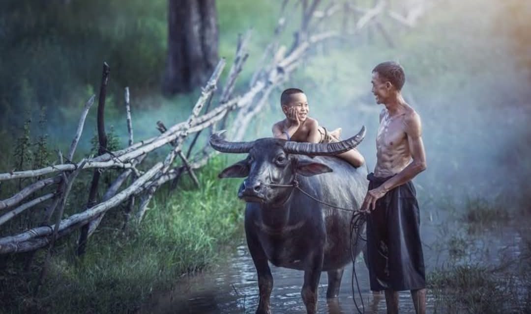 Ngaji Psikologi: BELENGGU PENGALAMAN