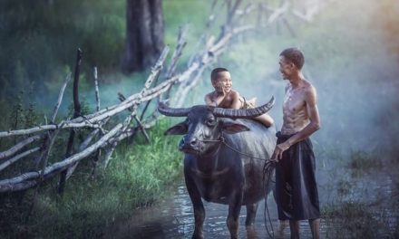 Ngaji Psikologi: BELENGGU PENGALAMAN