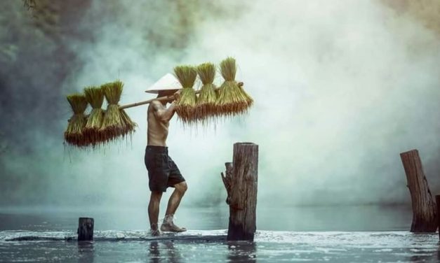 Ngaji Psikologi: RUMAH TUHAN