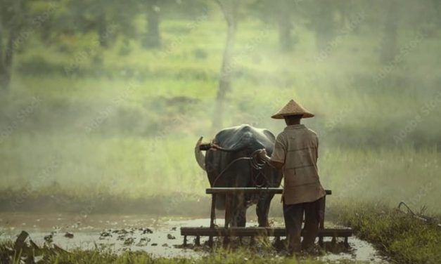 Ngaji Psikologi: TIDUR