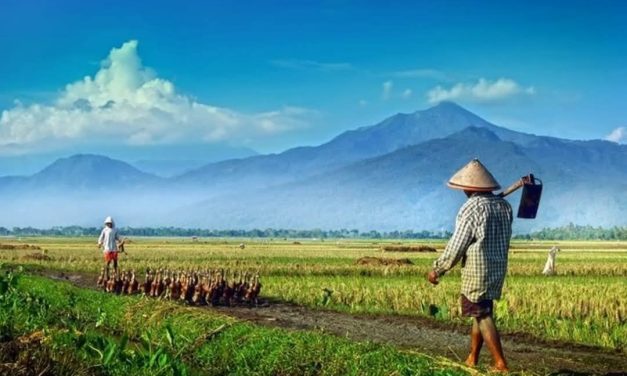 Ngaji Psikologi: TAK ADA YANG HILANG