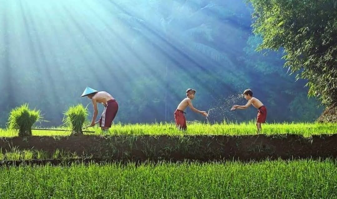 Ngaji Psikologi: HARGA KESUKSESAN