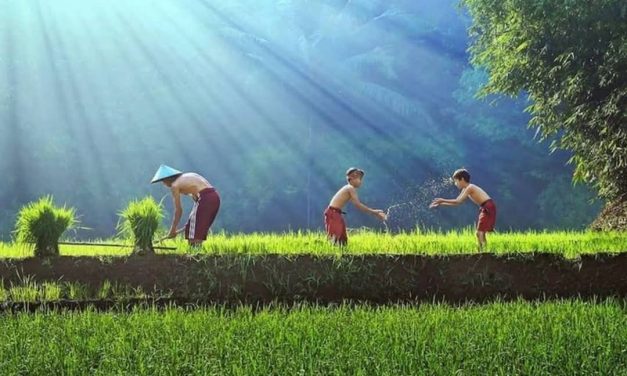 Ngaji Psikologi: HARGA KESUKSESAN