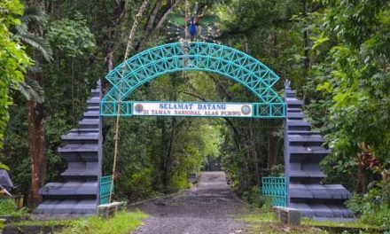 Panggonan Wingit: KEANGKERAN ALAS PURWO