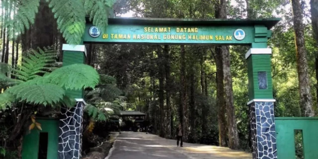 Panggonan Wingit: MISTERI GUNUNG HALIMUN