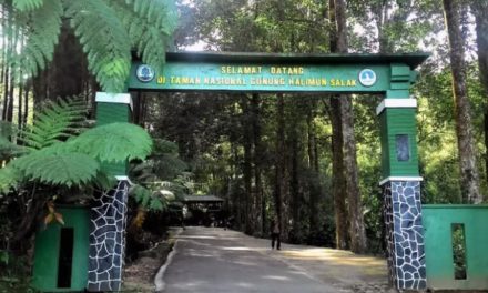 Panggonan Wingit: MISTERI GUNUNG HALIMUN