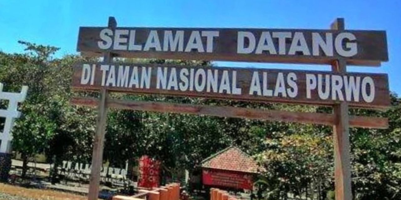 Panggonan Wingit: TERSESAT DI ALAM GAIB ALAS PURWO