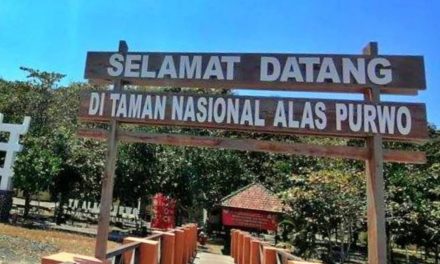 Panggonan Wingit: TERSESAT DI ALAM GAIB ALAS PURWO