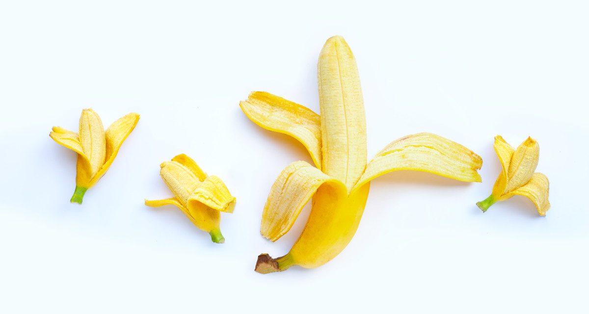 UKURAN PENIS TAK PERLU DIKONTESKAN – Konsultasi Kesehatan Seksual